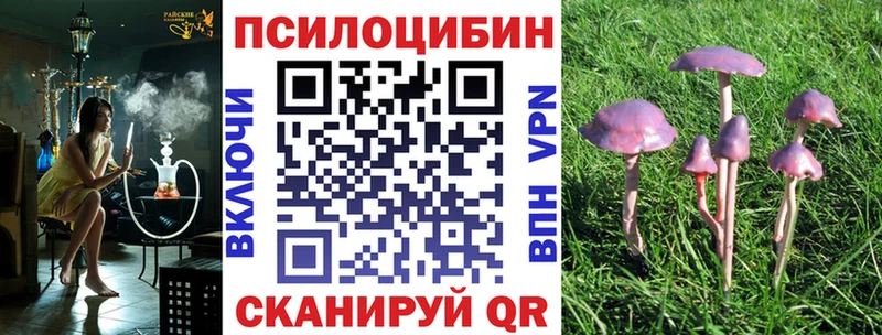 ссылка на мегу ссылка  Новопавловск  Галлюциногенные грибы Psilocybine cubensis 
